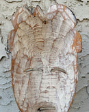 Hand-Carved Colorful Tikar African Wooden Mask