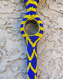 Bamileke Hand Beaded African Carved Walking Stick / Cane - Afrilege