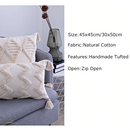 Modern Geometric Boho cushion cover with Tassels pillow cover - Afrilege