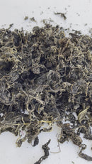 Dried Bitter Leaf / Onugbu / Ndole Leaves / Ewuro - Uncut & Washed