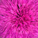 29" Purple Pink Authentic Bamileke Juju Hat - Afrilege