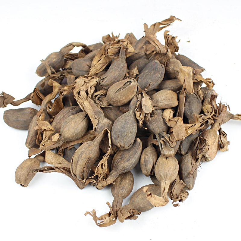Whole mbongo cardamom / Alligator pepper African spices - Afrilege
