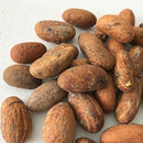 Cameroonian Bitter Kola Nuts - Afrilege