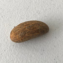 Cameroonian Bitter Kola Nuts - Afrilege