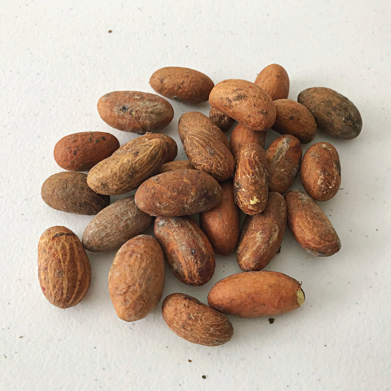 Cameroonian Bitter Kola Nuts - Afrilege
