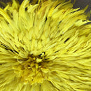 29" Yellow Bamileke Juju Hat from Cameroon - Afrilege