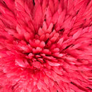 30" Red Authentic Bamileke Juju Hat from Cameroon - Afrilege