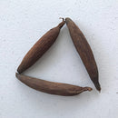 Seeds of peace / Graines de la paix / "ndidam" - Afrilege