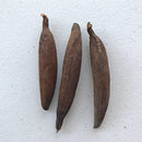 Seeds of peace / Graines de la paix / "ndidam" - Afrilege