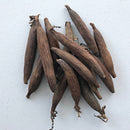 Seeds of peace / Graines de la paix / "ndidam" - Afrilege